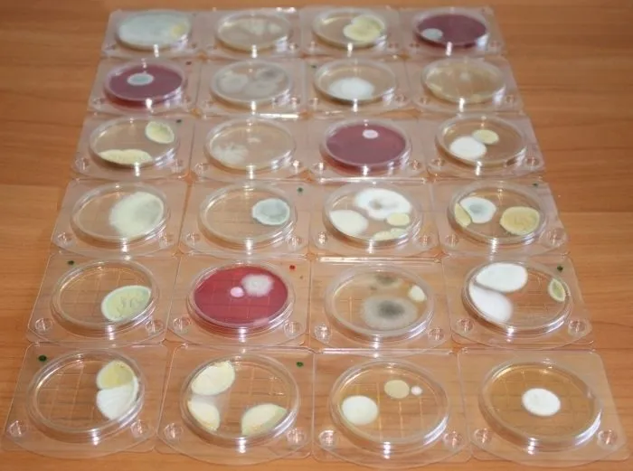 экспресс-тесты на микробиологию  в Саратове