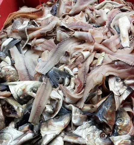 фотография продукта Рыбные отходы самовывоз по РФ