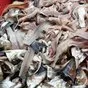 рыбные отходы самовывоз по РФ в Саратове