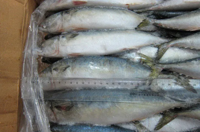 фотография продукта Свежемороженная рыба